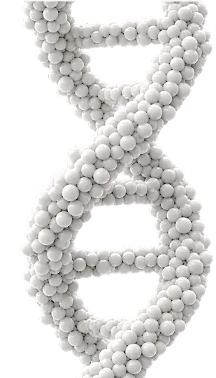 DNA clue
